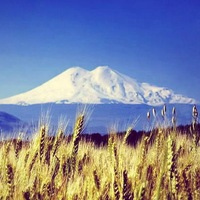 На Эльбрусе найдены тела погибших альпинистов из Польши На Эльбрусе найдены тела погибших альпинистов из Польши