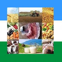 В КБР принята новая программа по развитию промышленности и торговли В КБР принята новая программа по развитию промышленности и торговли