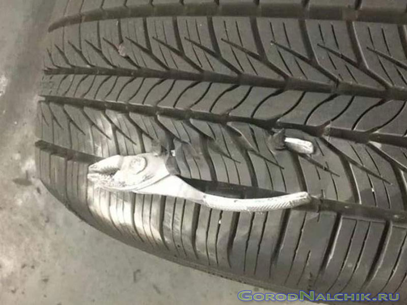 Юмор Нальчика
