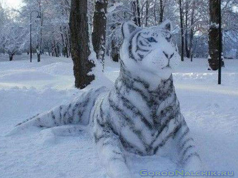 Анекдоты 2018 (февраль)