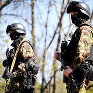 В Кабардино-Балкарии уничтожили 14 боевиков В Кабардино-Балкарии уничтожили 14 боевиков